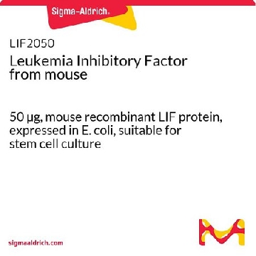 小鼠白血病抑制因子，50UG，LIF2050，Sigma