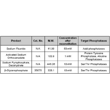 Phosphatase Inhibitor Cocktail Set III, Lyophilized，1ML，524631-1MLCN，密理博