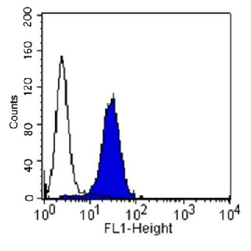 Anti-Integrin α2β1 Antibody, clone BHA2.1, azide free，100UG，MAB1998Z，Sigma