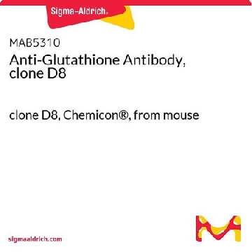 Anti-Glutathione Antibody, clone D8，100UG，MAB5310，Sigma
