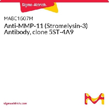 Anti-MMP-11 (Stromelysin-3) Antibody, clone 5ST-4A9，100UG，MABC1607，Sigma