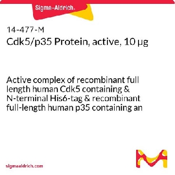 Cdk5/p35蛋白，活性，10 µg，10UG，14-477，Sigma