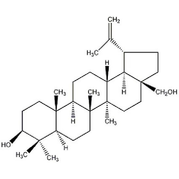 SREBP Processing Inhibitor, Betulin，250MG，569371-250MGCN，Sigma