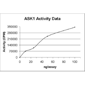 ASK1 Protein, active, 10 µg，10UG，14-606，Sigma