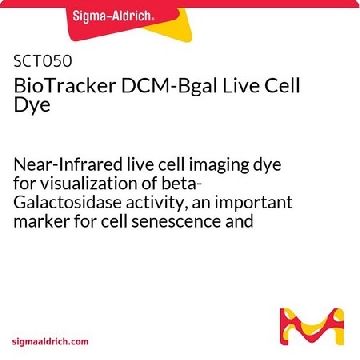 BioTracker DCM-Bgal Live Cell Dye，1MG，SCT050，Sigma