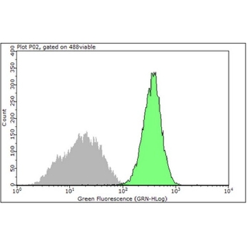 Anti-Integrin β1 Antibody, clone 12G10，100UG，MAB2247-I，Sigma