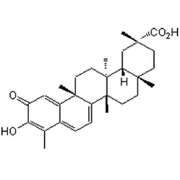 Celastrol, Celastrus scandens，10MG，219465-10MGCN，Sigma