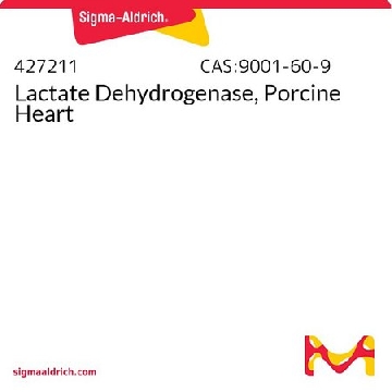 Lactate Dehydrogenase, Porcine Heart，50KU，427211-50KUCN，Sigma