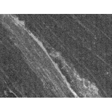 Anti-PGP9.5 (176-191) Rabbit pAb，50UL，NE1013-50ULCN，Sigma