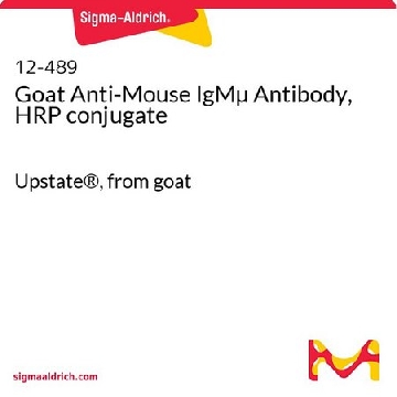Goat Anti-Mouse IgMµ Antibody, HRP conjugate，250UG，12-489，Sigma