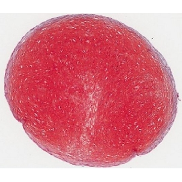 Safranin-O染色液，100ML，TMS-009-C，Sigma