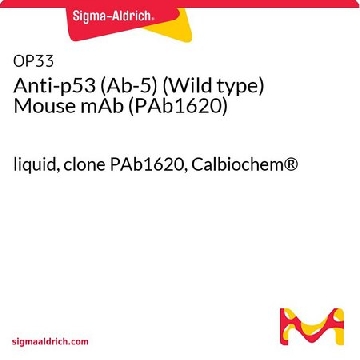 抗-P53（Ab-5）（野生型）小鼠mAb（PAb1620），100UG，OP33-100UGCN，Sigma