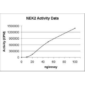 NEK2 Protein, active, 10 µg，10UG，14-545，Sigma
