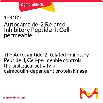 Autocamtide-2 Related Inhibitory Peptide II, Cell-permeable，1MG，189485-1MGCN，Sigma