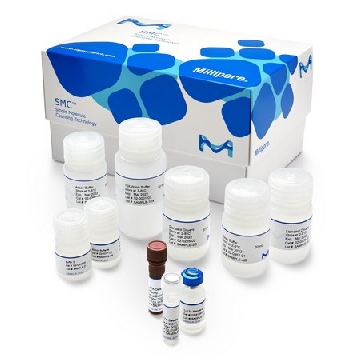 SMC ®人IL-17A高灵敏度试剂盒，96WELLS，03-0159-00，密理博
