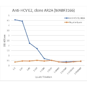 Anti-HCV E2 Antibody, clone AR2A，100UL，MABF3166-100UL，Sigma