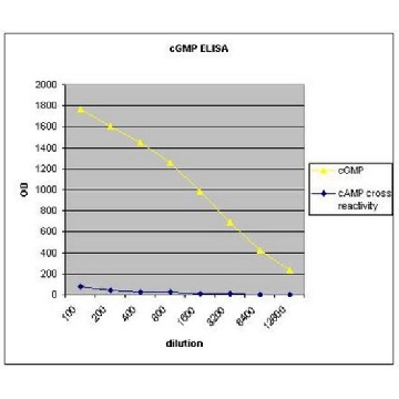 Anti-cGMP (cyclic GMP) Antibody，50UL，09-101，Sigma