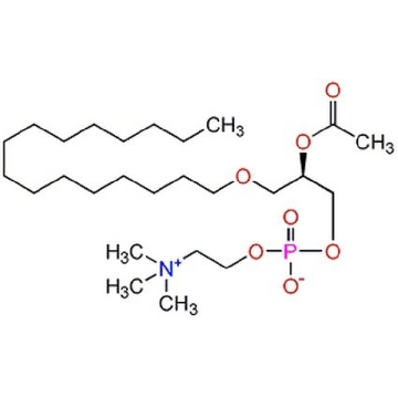 血小板活化因子-16，1MG，511075-1MGCN，Sigma
