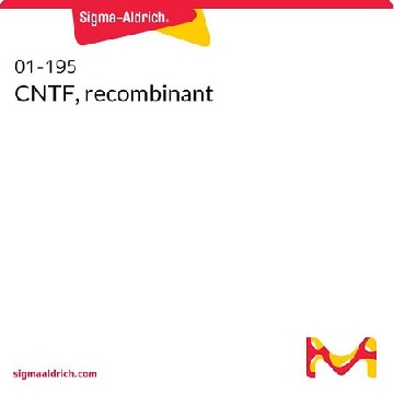 CNTF，重组，25UG，01-195，Sigma