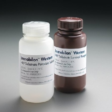 Immobilon Western 化学发光 HRP 底物，WBKLS0500，密理博，默克，Merck