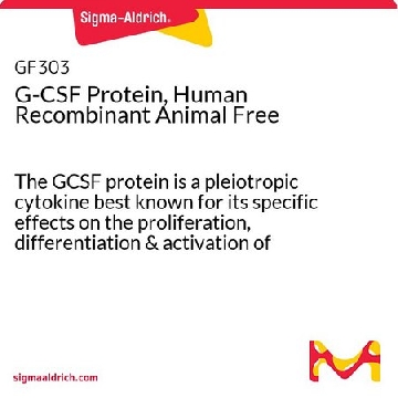 G-CSF Protein, Human Recombinant Animal Free，10UG，GF303，Sigma
