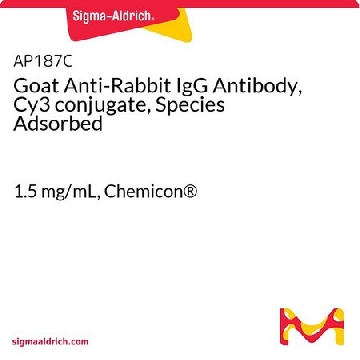 山羊抗兔IgG抗体（Cy3偶联，吸附物种），1.5MG，AP187C，Sigma