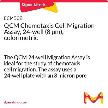 QCM趋化细胞迁移分析，24孔（8 µm），比色法，1PLATE，ECM508，Sigma