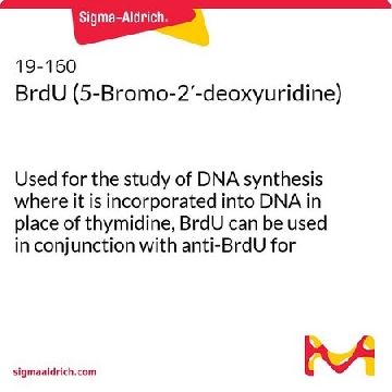 BrdU（5-溴-2′-脱氧尿苷），100MG，19-160，Sigma