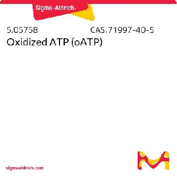 氧化型ATP（oATP），25MG，50575800011753，Sigma