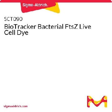 BioTracker Bacterial FtsZ Live Cell Dye，1MG，SCT090，Sigma