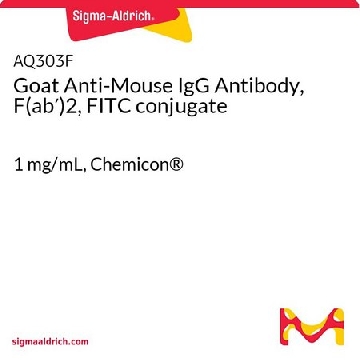 山羊抗小鼠IgG抗体，F（ab′）2，FITC偶联，1ML，AQ303F，Sigma