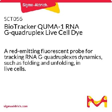 BioTracker QUMA-1 RNA G-四链体活细胞染料，1MG，SCT056，Sigma