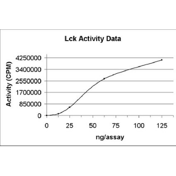 Lck Protein, active, 10 µg，10UG，14-442，Sigma