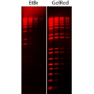GelRed® 核酸染色剂10000X DMSO，0.5ML，SCT122，密理博
