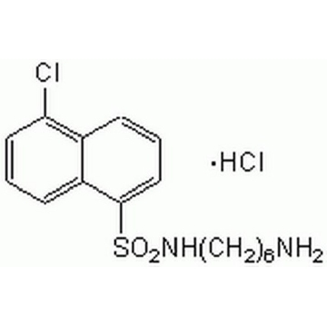 W-7盐酸盐，10MG，681629-10MGCN，Sigma