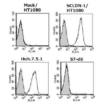Anti-Claudin-1/CLDN1 Antibody, clone 7A5，100UG，MABT366，Sigma