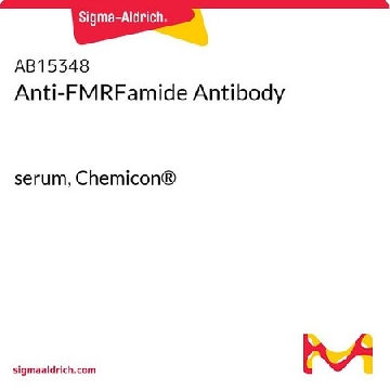 抗-FMRFamid 抗体，50UL，AB15348，Sigma