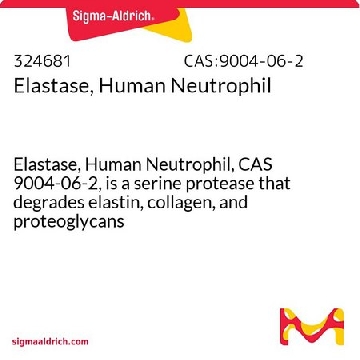 人中性粒细胞弹性蛋白酶，50UG，324681-50UGCN，Sigma