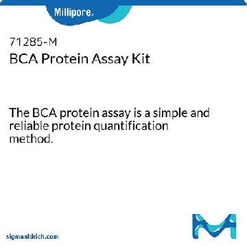 BCA 蛋白定量检测试剂盒，500ASSAYS，71285-3CN，密理博