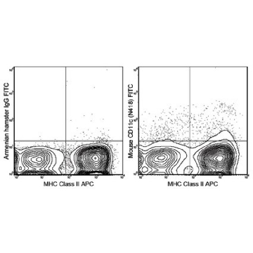 抗-CD11c抗体（小鼠），FITC，克隆N418，25UG，MABF530，Sigma