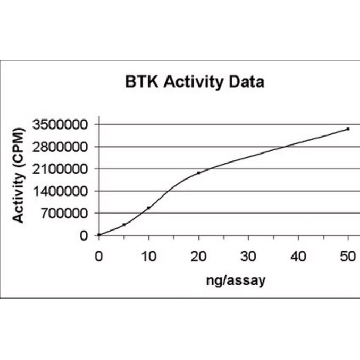BTK蛋白，活性，10 µg，10UG，14-552，Sigma