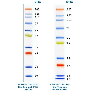 mPAGE® 彩色蛋白标准品，1EACH，MPSTD4，密理博