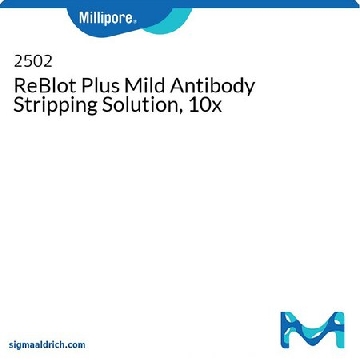 ReBlot Plus温和抗体剥离液，10x，50ML，2502，密理博