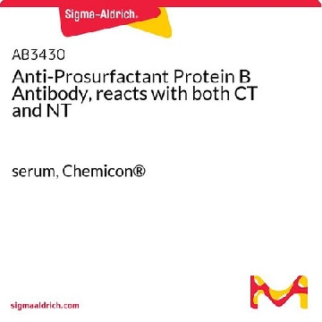 抗Prosurfactant蛋白B抗体，可与CT和NT反应，100UL，AB3430，Sigma