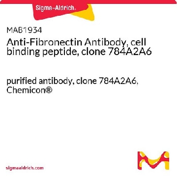 Anti-Fibronectin Antibody, cell binding peptide, clone 784A2A6，500UL，MAB1934，Sigma
