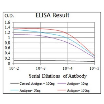 Anti-KEAP1, clone 7G4B10 Antibody，100UG，MABC713，Sigma