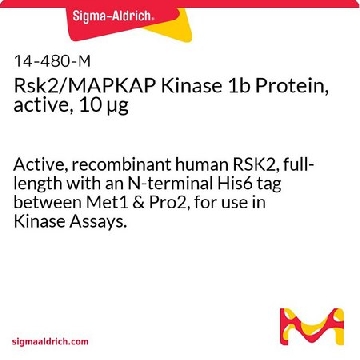 Rsk2/MAPKAP Kinase 1b Protein, active, 10 µg，10UG，14-480，Sigma