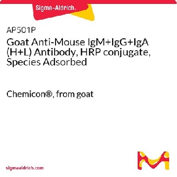 Goat Anti-Mouse IgM+IgG+IgA (H+L) Antibody, HRP conjugate, Species Adsorbed，1ML，AP501P，Sigma