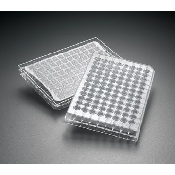 Multiscreen® 96孔板，亲水PVDF膜，10EA，MSBVS1210，密理博