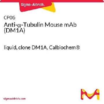 抗-α-微管蛋白小鼠mAb（DM1A），100UG，CP06-100UGCN，Sigma